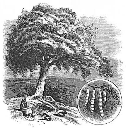 Engraving